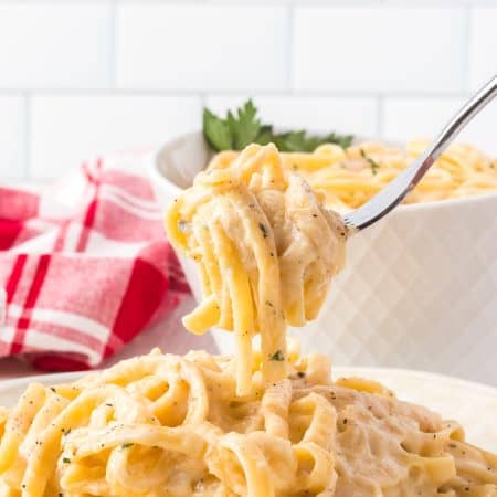 A spoonful of Fettuccine Alfredo.