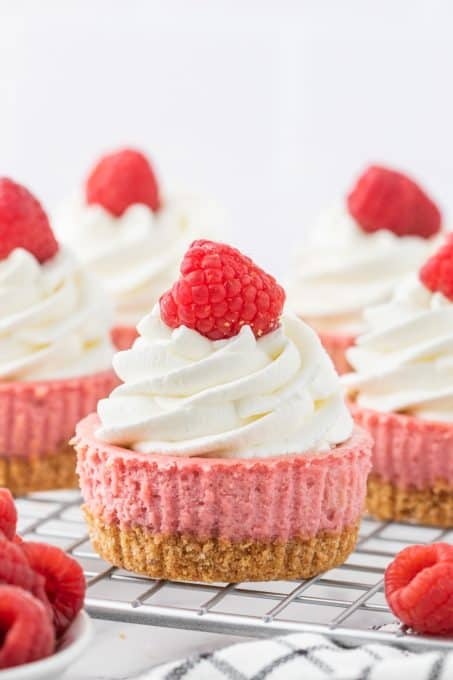 Mini Raspberry Cheesecakes