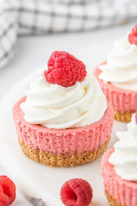 Mini cheesecakes with raspberry flavor.