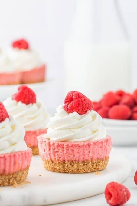 Raspberries, and a cheesecake filling with graham cracker crust.