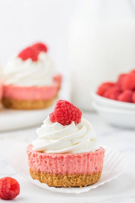 Raspberry mini cheesecakes.