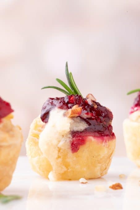 Cranberry Bire BItes