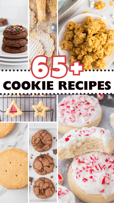 65+ Cookie Recipes from 365 Days of Baking and More.