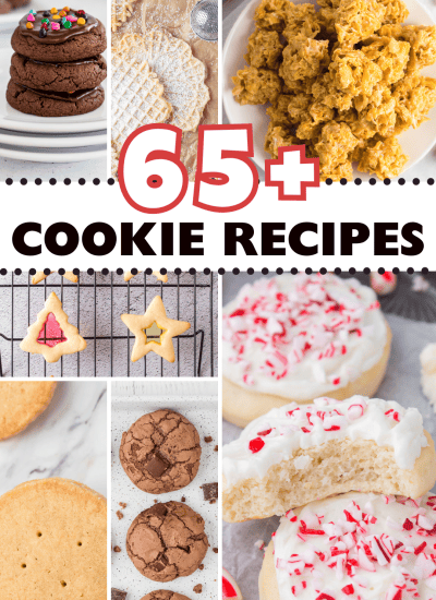 65+ Cookie Recipes from 365 Days of Baking and More.