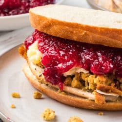 Leftover Turkey Sandwich with all the trimmings.