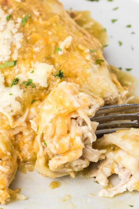 A bite of a creamy chicken enchilada.