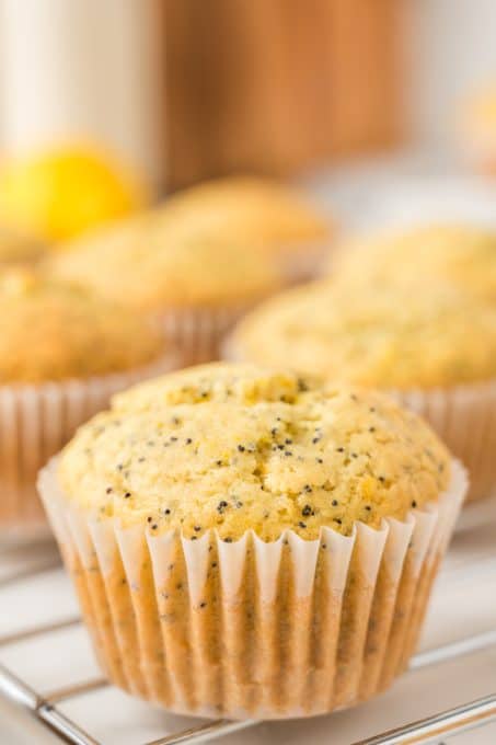 Citrus poppy seed muffins.