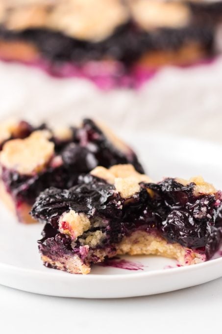 Blueberry dessert bars