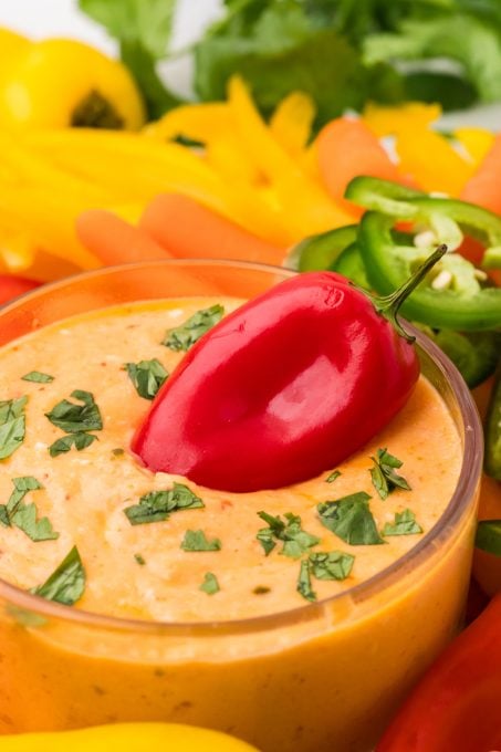 Cottage Cheese Dip