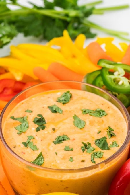 Queso Dip made with cottage cheese.