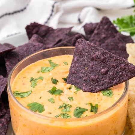 Cottage Cheese Queso Dip