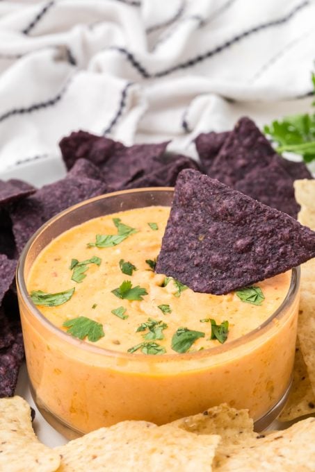 Cottage Cheese Queso Dip