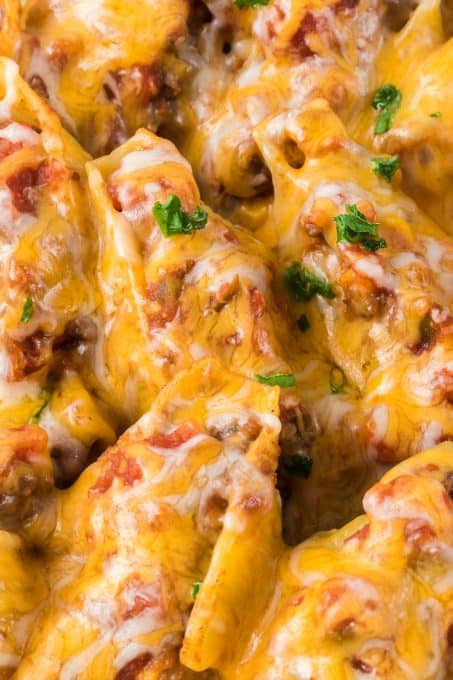 Taco Stuffed Shells