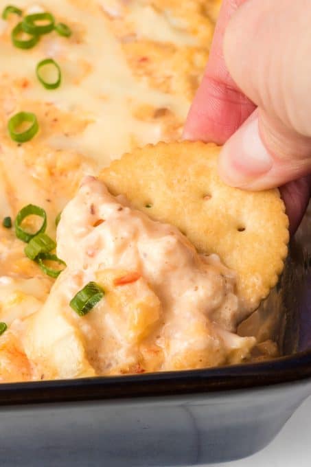 Easy Shrimp Dip Recipe