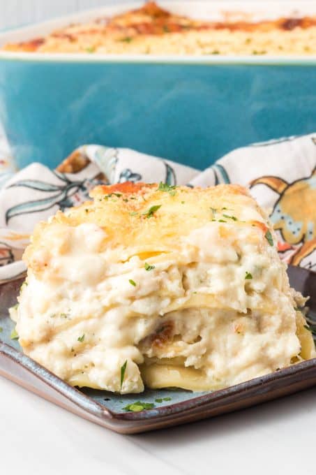 Creamy Chicken Lasagna with a homemade Alfredo sauce.