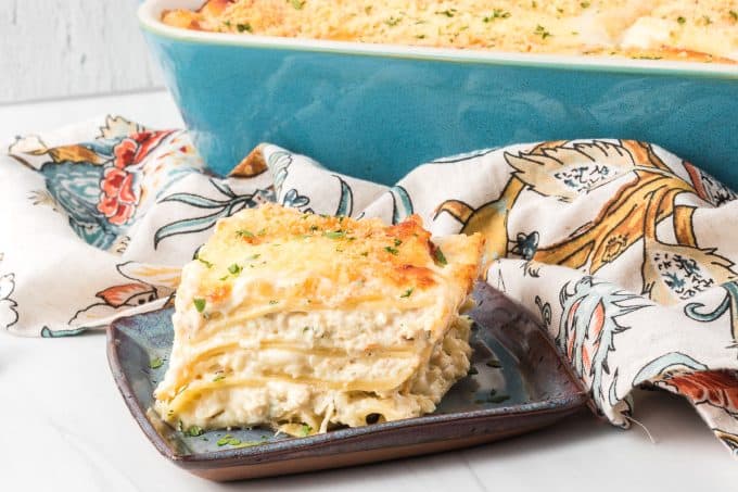 Chicken Alfredo Lasagna