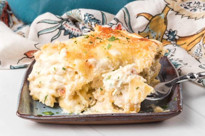 A bite of Alfredo chicken lasagna.