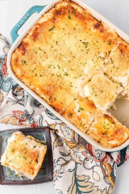 Serving Alfredo Lasagna with chicken.