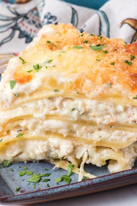 Chicken Alfredo Lasagna