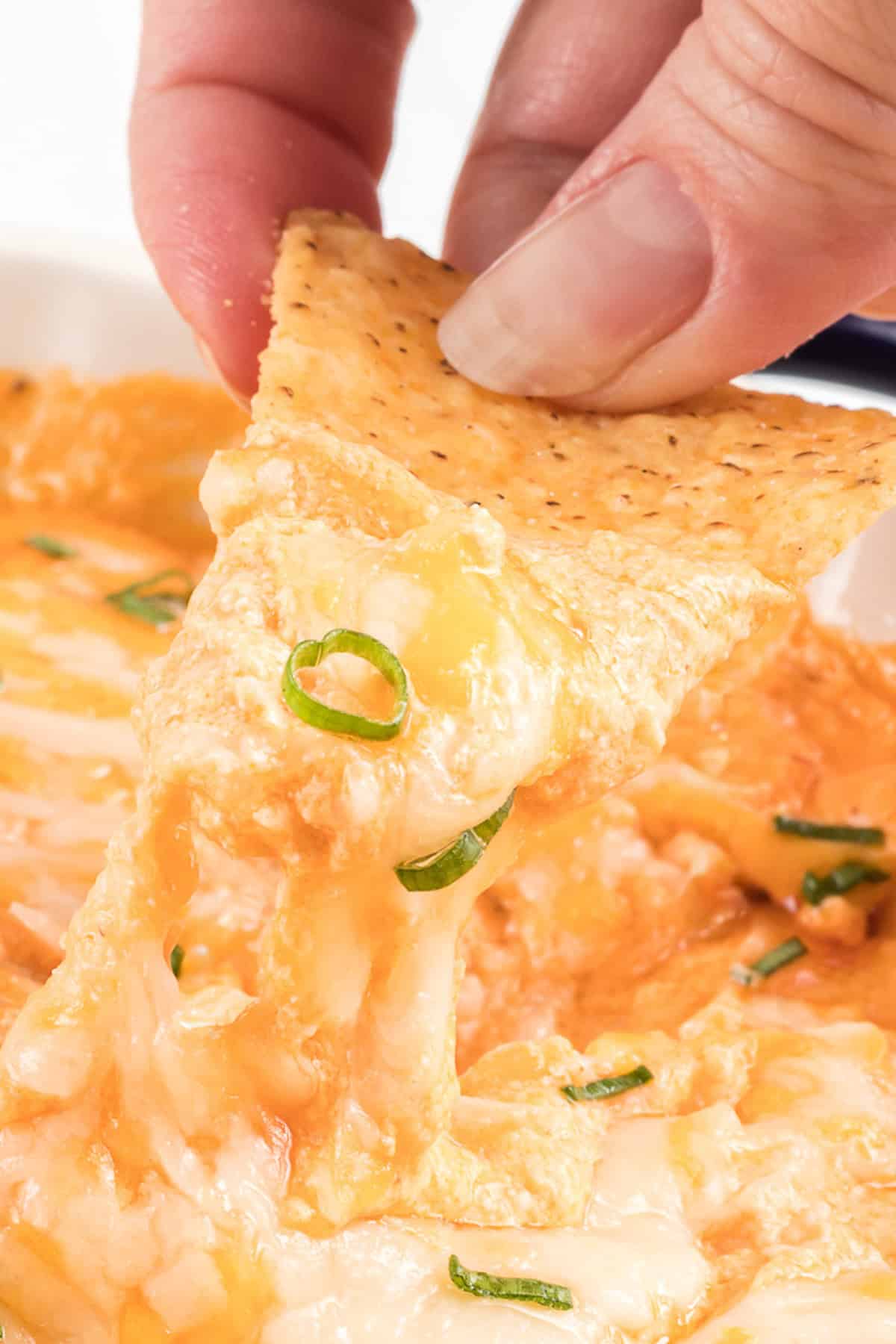 Cottage Cheese Buffalo Chicken Dip
