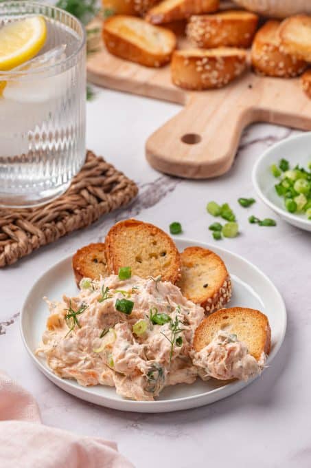 Salmon dip with homemade toasted bagel chips.