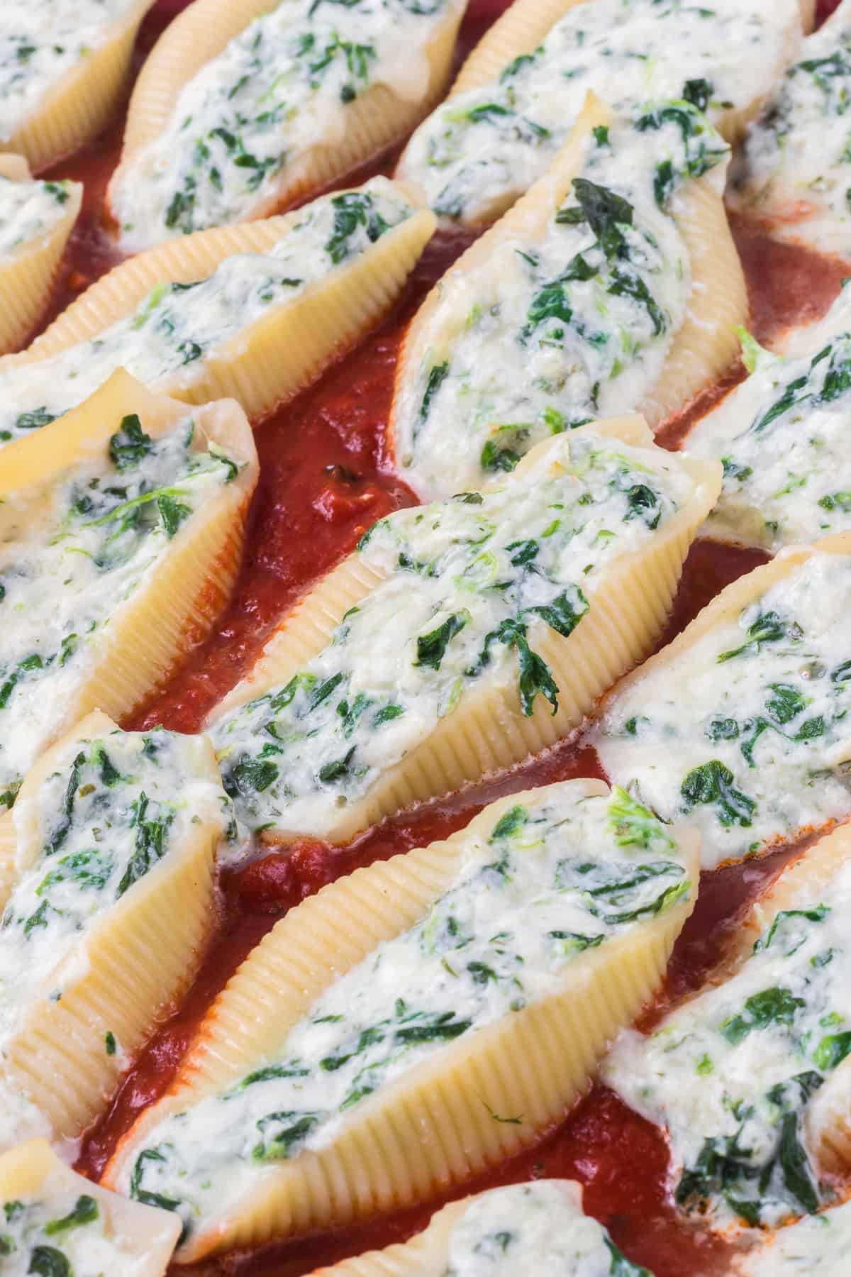 Pasta shells stuffed with ricotta cheese and spinach sitting in a homemade marinara.